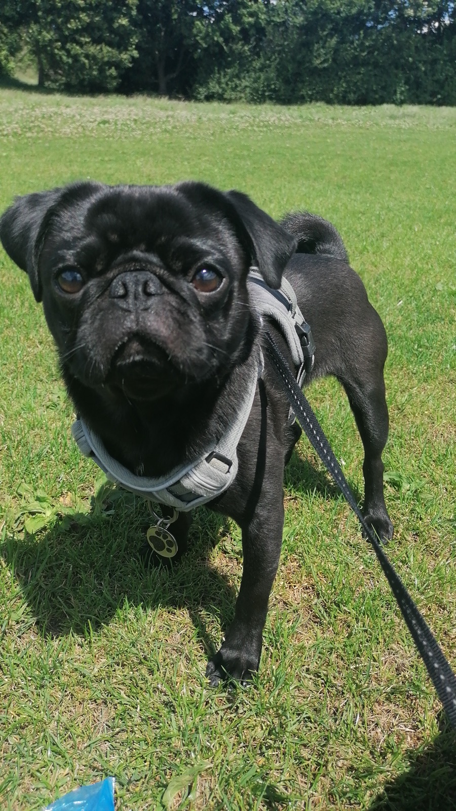 Winston